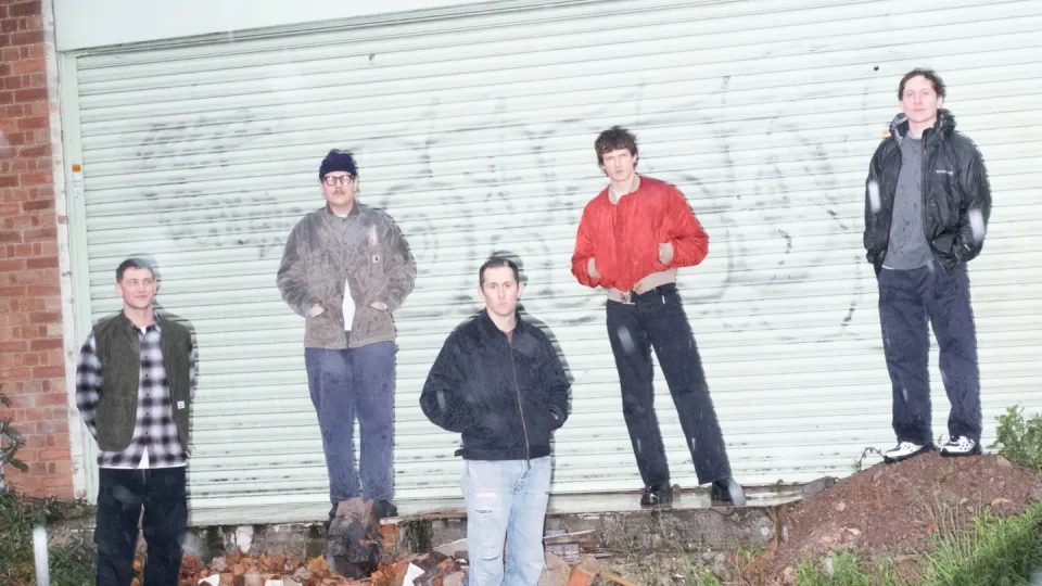 Basement w/ Fiddlehead