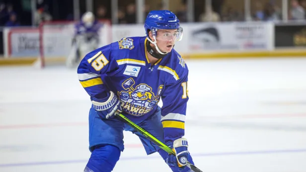 Roanoke Rail Yard Dawgs vs. Evansville Thunderbolts (Round 2: Game 5)
