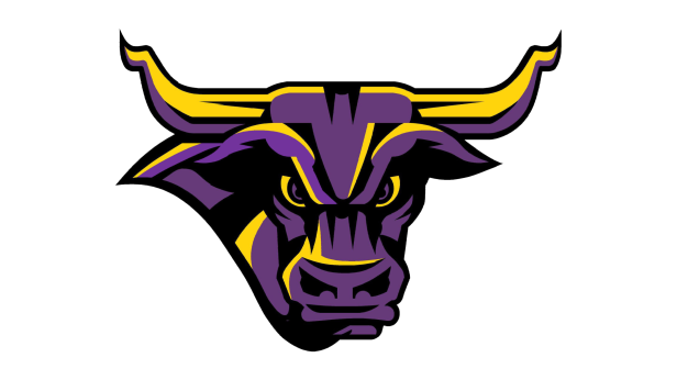 Minnesota State Mavericks Women's Hockey vs. Bemidji State Univ.