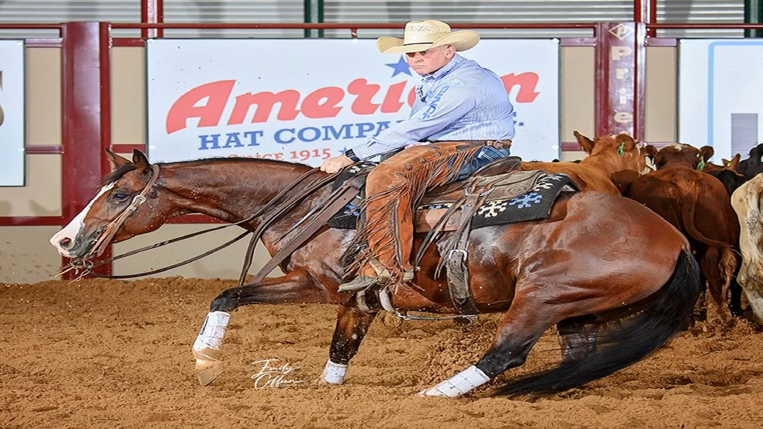 Run For A Million. Cutting Horse Challenge