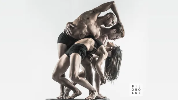 Pilobolus: Other Worlds
