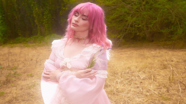 Baby Bugs: Bible Belt Tour