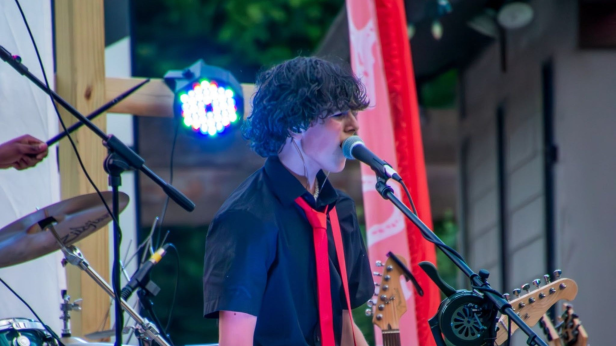 Greener Days Benefit Concert by Fannie Battle