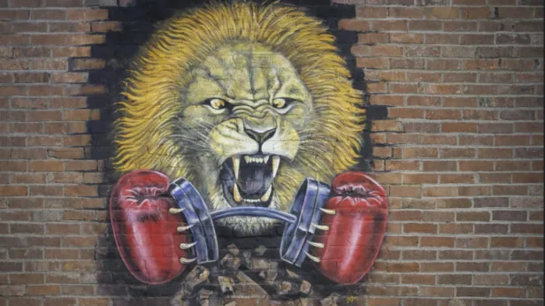 Boxing Extravaganza In The Roc