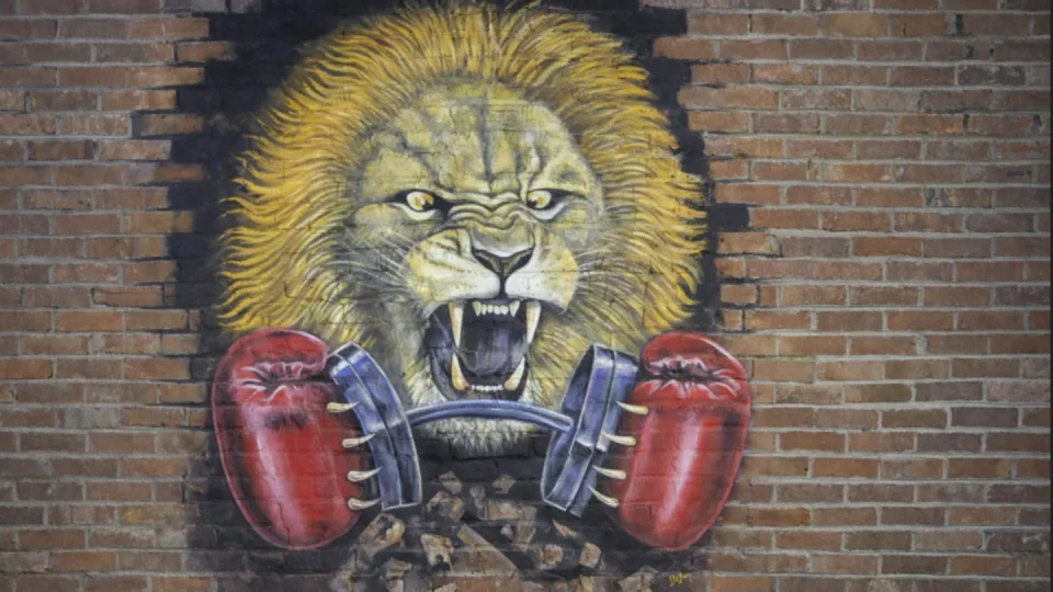 Boxing Extravaganza In The Roc