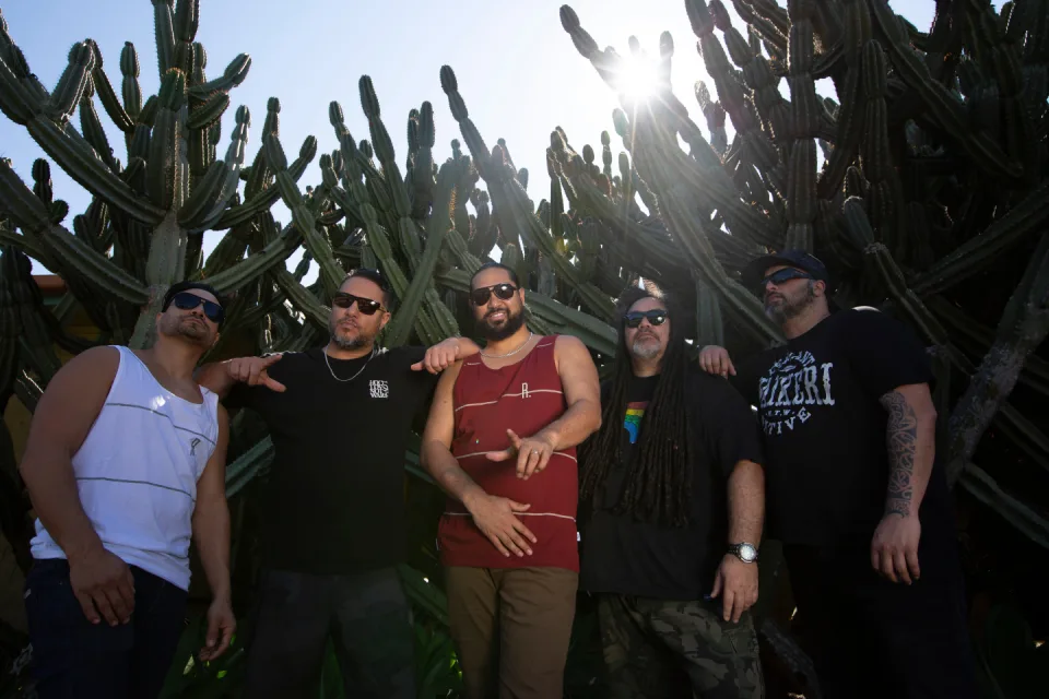 Katchafire