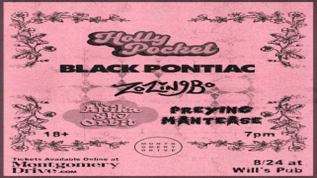 Holly Pocket, Black Pontiac, Zozingbo, The Anika Sky Orbit, Preying Mantease
