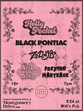 Holly Pocket, Black Pontiac, Zozingbo, The Anika Sky Orbit, Preying Mantease