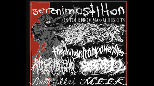 Geronimo Stilton, Flowers For Persephone, Theyhungusfrompowerlines, Abuse Repression, sixteen12swag, Brittle Bullet, Meek