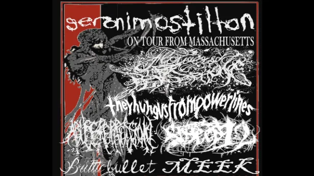 Geronimo Stilton, Flowers For Persephone, Theyhungusfrompowerlines, Abuse Repression, sixteen12swag, Brittle Bullet, Meek