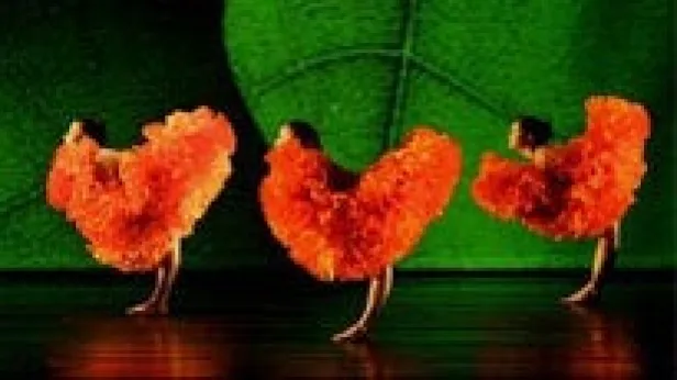 Momix