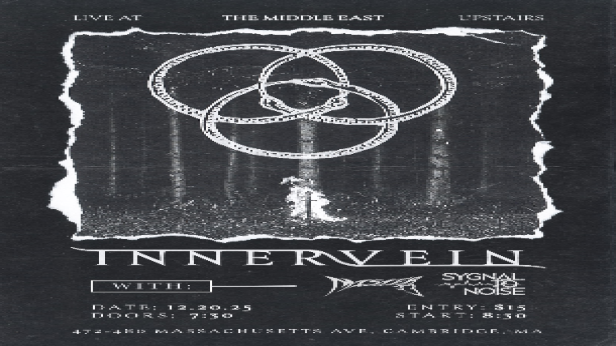 Innervein, Mister33, Sygnal To Noise