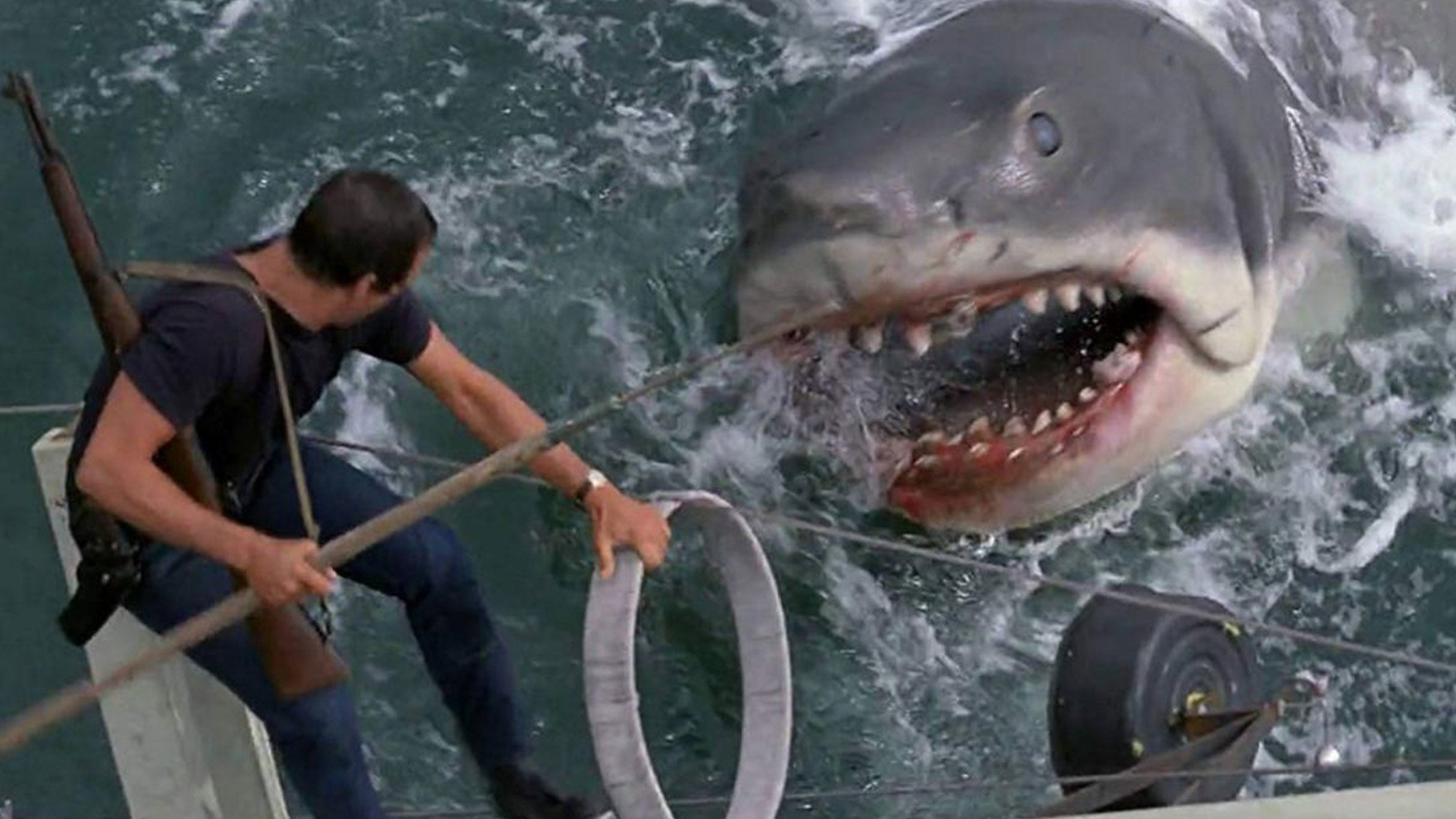 Jaws - 50th Anniversary with Johnny Fish & The Fins