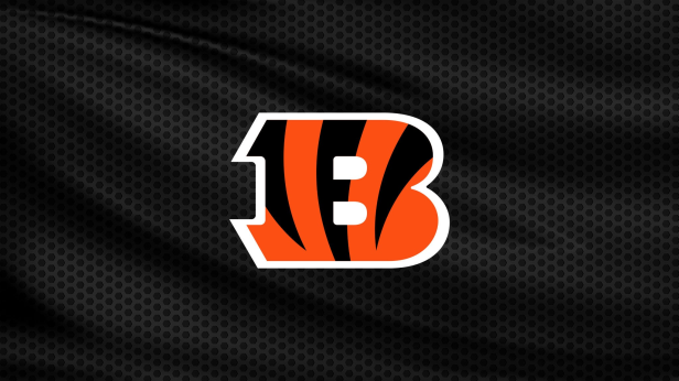 Cincinnati Bengals Training Camp - Saturday Night Stadium Practice