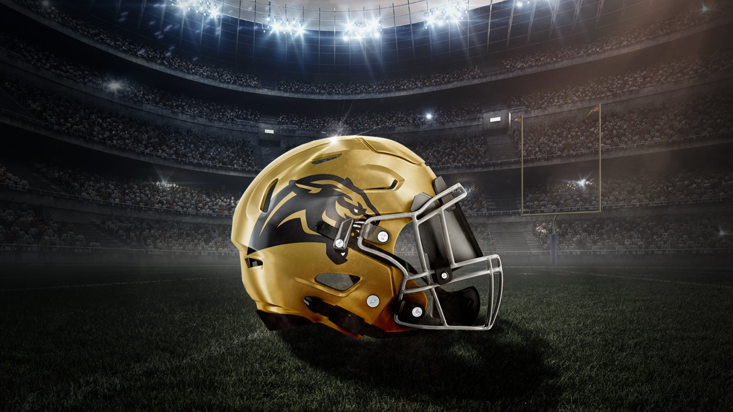 Bay Area Panthers vs Vegas Knight Hawks