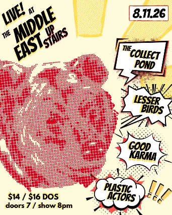Lesser Birds, The Collect Pond, Good Karma, Plastic Actors