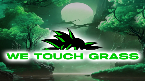 WeTouchGrass presents: Anime Rave