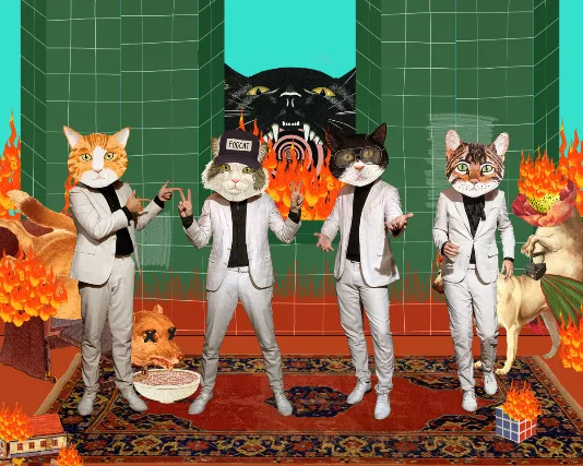 Fantastic Cat w/ guests