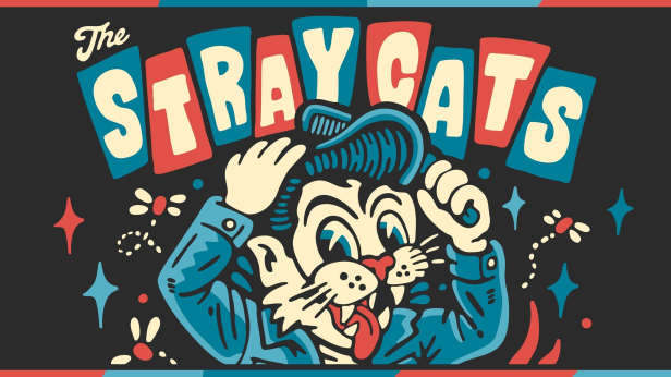 THE STRAY CATS