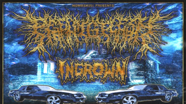 PeelingFlesh, Ingrown, Wartorn, Desecratory