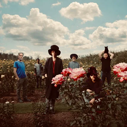 THE TEAR GARDEN (The Legendary Pink Dots & cEvin Key)