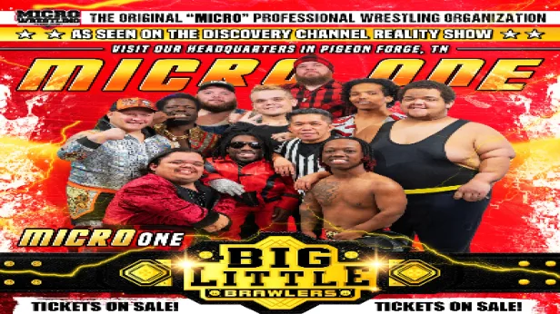 MICRO WRESTLING 11