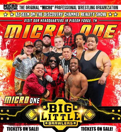MICRO WRESTLING 11