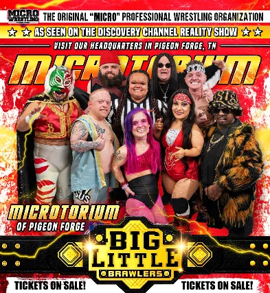 Micro Wrestling