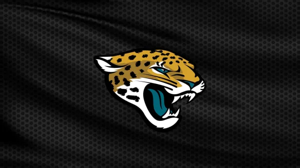 Preseason Game 1: Jacksonville Jaguars v Carolina Panthers