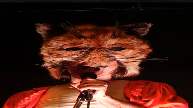 The Musical Box Performs Genesis Live (seated show)