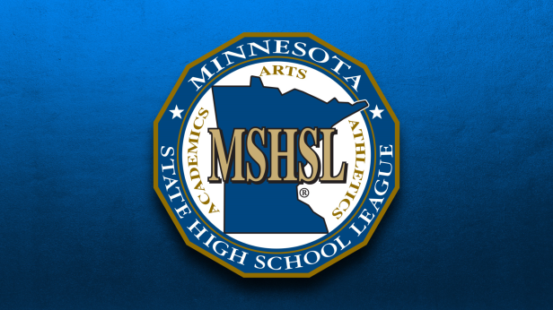 MSHSL Section 1AA Girls Volleyball Quarterfinals