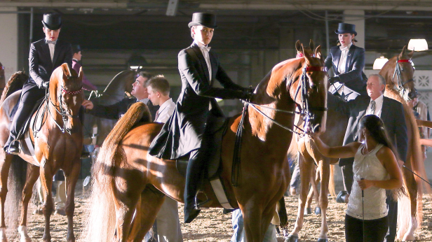 World's Championship Horse Show