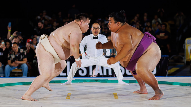 All Star Sumo