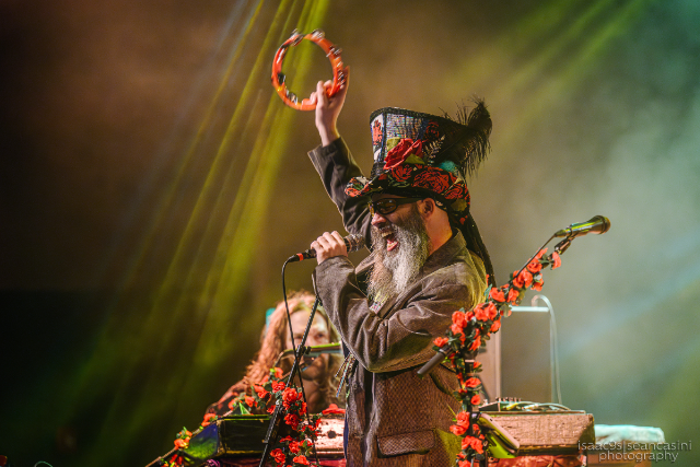 Magic Bag Presents: Bearly Dead