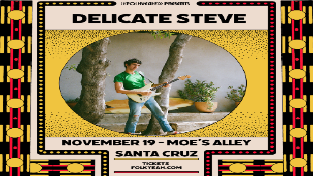 (((folkYEAH!))) Presents - Delicate Steve