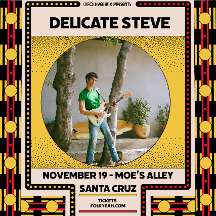 (((folkYEAH!))) Presents - Delicate Steve