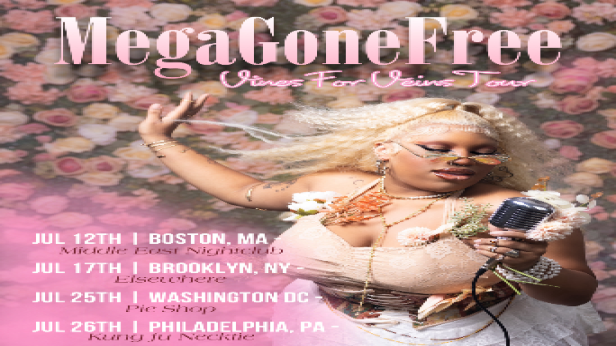 MegaGoneFree
