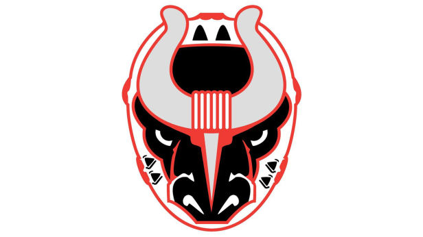 Birmingham Bulls vs. Pensacola Ice Flyers