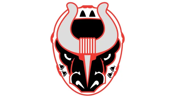 Birmingham Bulls vs Roanoke Rail Yard Dawgs