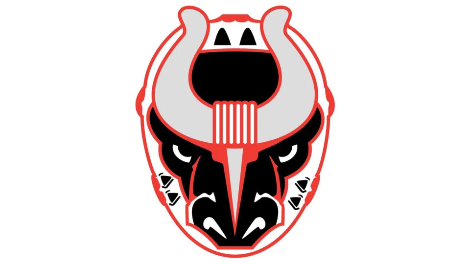 Birmingham Bulls vs Roanoke Rail Yard Dawgs