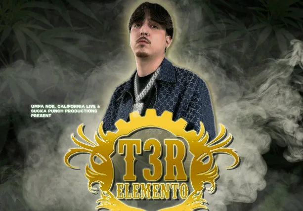 T3r Elemento