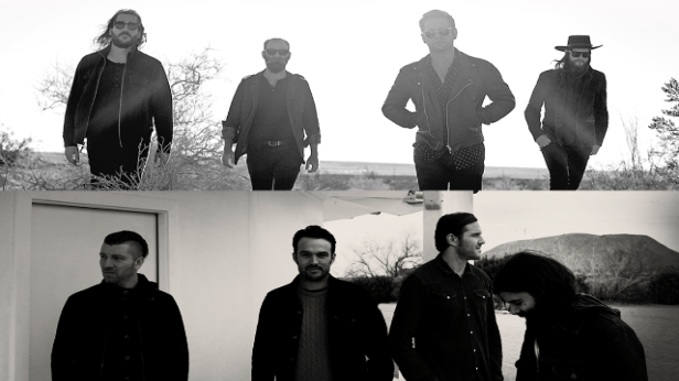 The Silent Comedy, TRANSFER, SUNBENDR