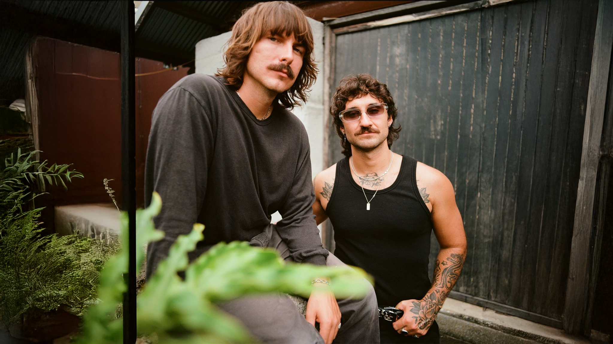 The Dreggs