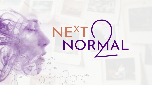 Next to Normal - Presented by Iron Crow Theatre