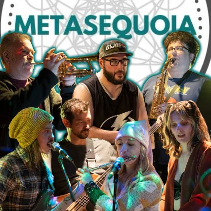 Metasequoia