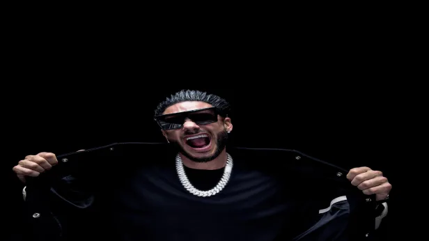 DJ Pauly D