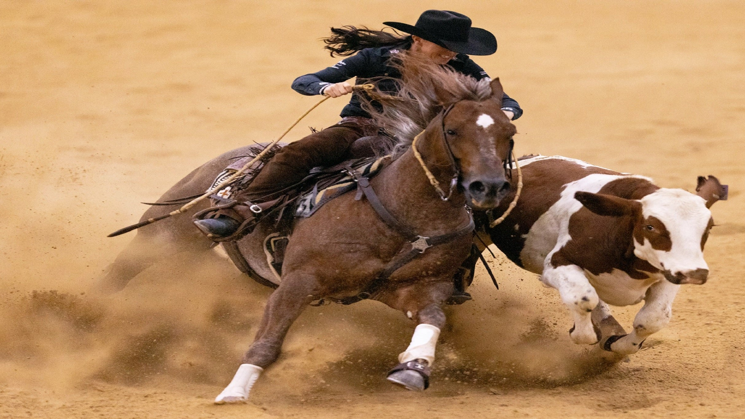 Run For A Million. Cow Horse Challenge