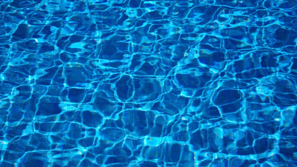 2026 American Conference Women's Swimming & Diving Championship