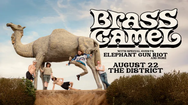 Brass Camel, Elephant Gun Riot