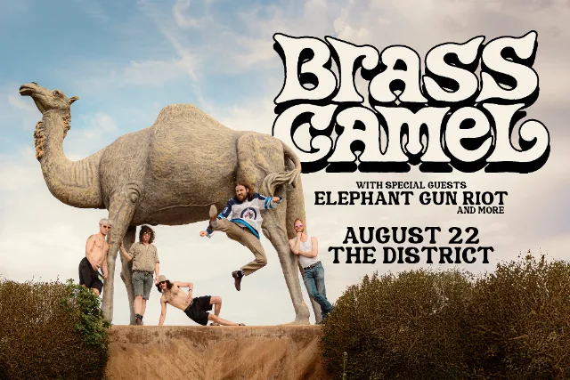 Brass Camel, Elephant Gun Riot